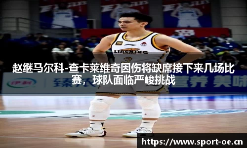 赵继马尔科-查卡莱维奇因伤将缺席接下来几场比赛，球队面临严峻挑战
